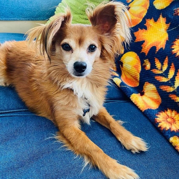 Meet the seller. - Picture 1 of 7